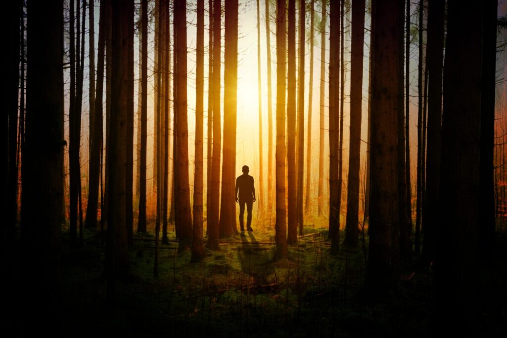 silhouette-aesthetic-man-standing-sunset-forest-woods-5k-4752x3168-573