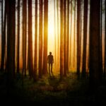 silhouette-aesthetic-man-standing-sunset-forest-woods-5k-4752x3168-573
