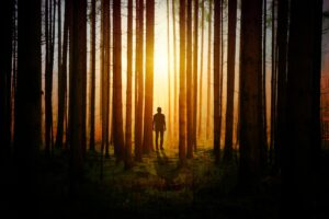silhouette-aesthetic-man-standing-sunset-forest-woods-5k-4752x3168-573