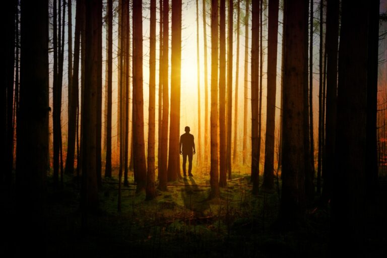 silhouette-aesthetic-man-standing-sunset-forest-woods-5k-4752x3168-573